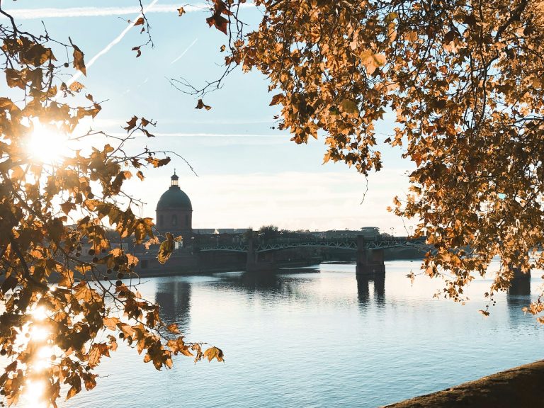 River Garonne in Toulouse France with the autumn leaves.